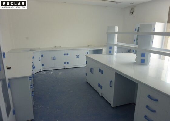 China High School Chemical Lab Furniture 3000L Big Capacity With Reagent Shelf supplier