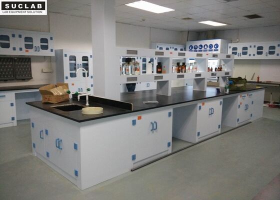 China High Temp Resistant Chemical Lab Furniture Workstations With Adjustable Feet supplier
