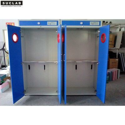 China Steel Laboratory Gas Cylinder Storage Cabinet 600/900/1200 Width With Vent System supplier