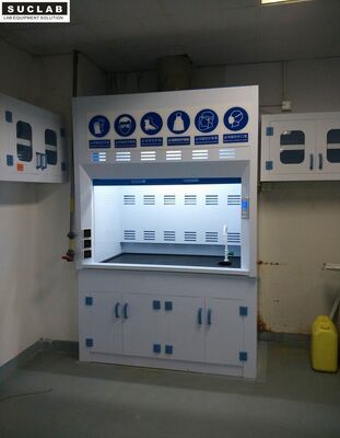 China Clear Window Laboratory Fume Hood , PVC Ducted Chemistry Vent Hood Safe Operation supplier