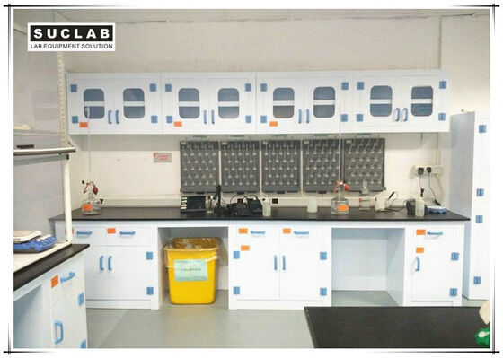 China Corrosion Resistant Chemical Lab Furniture With PP Countertops And Shelves In Laboratory supplier
