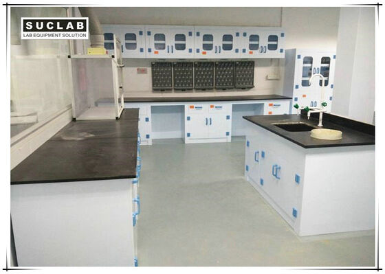 China Epoxy Resin Countertop Science Lab Tables , PP Lab Furniture With PP Drawer supplier