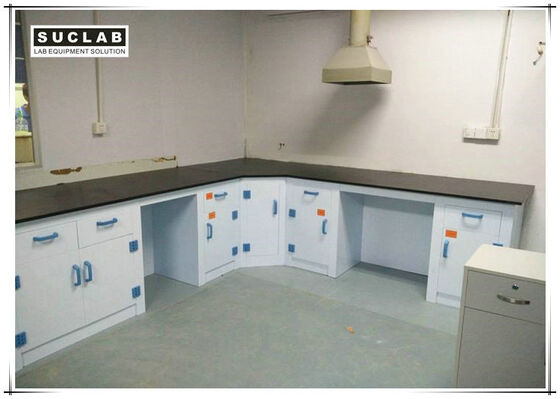 China Corrosion Resistant PP Structure Chemical Laboratory Furniture With Phenolic Resin Countertop supplier