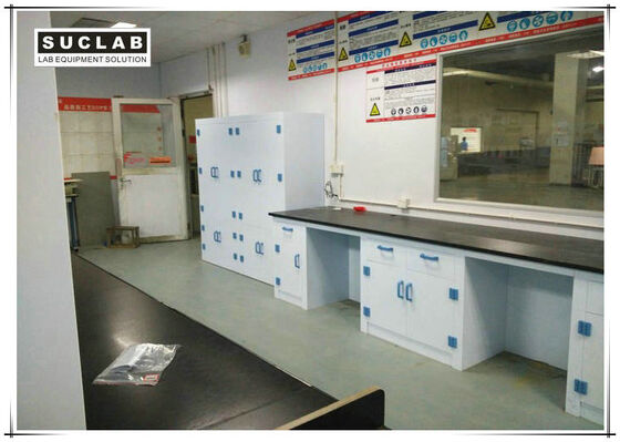 China PP Material Chemical Lab Bench Furniture For College Chemistry Class Use supplier