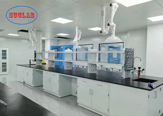 China Epoxy Resin Benchtop White Colour Science Laboratory Furniture With Functional Column supplier