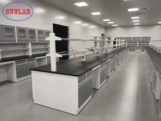 Floor Mounted Steel Structure Chemistry Lab Furniture With Wall Storage Cabinet supplier