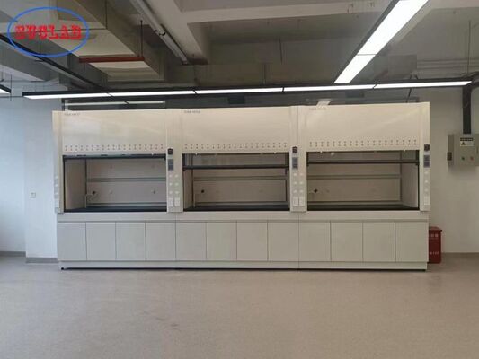 New Style Steel Laboratory Fume Cupboard With Ducted Ventilation System supplier