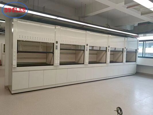 New Style Steel Laboratory Fume Cupboard With Ducted Ventilation System supplier