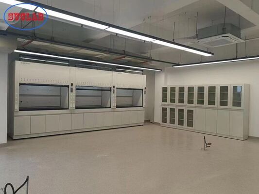New Style Steel Laboratory Fume Cupboard With Ducted Ventilation System supplier