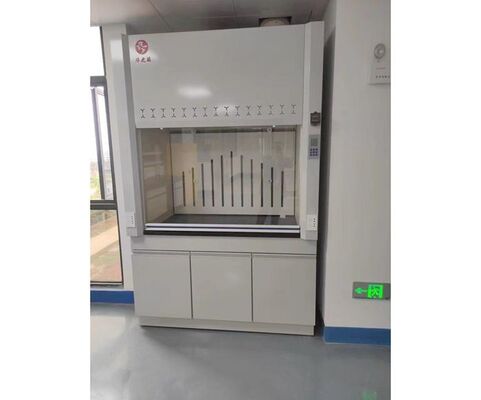 Gray White Colour Lab Fume Hood With Ducted Ventilation System supplier