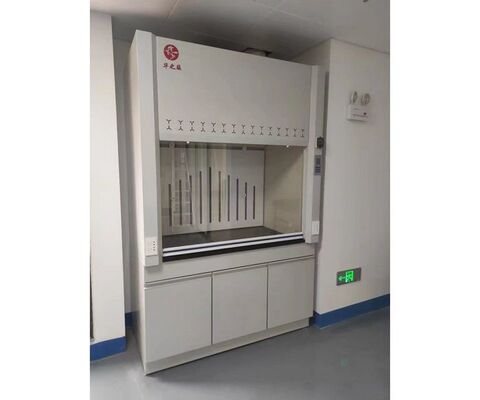 Gray White Colour Lab Fume Hood With Ducted Ventilation System supplier