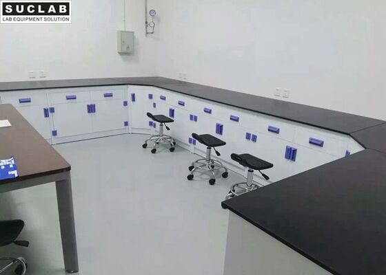 Top SS Countertop Chemical Lab Furniture With PP Base Cabinet And Handle supplier