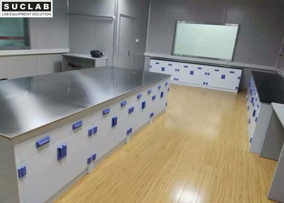Top SS Countertop Chemical Lab Furniture With PP Base Cabinet And Handle supplier
