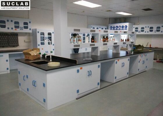 Top SS Countertop Chemical Lab Furniture With PP Base Cabinet And Handle supplier
