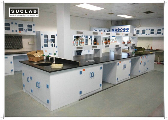 Waterproof PP Lab Bench With Reagent Shelves In Chemistry Laboratory supplier