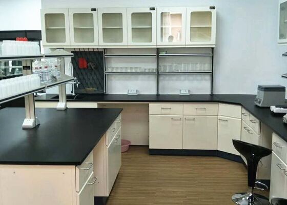 Chemistry Lab Bench With Off White Wall Cabinet For Testing Center Usage supplier