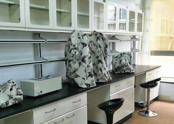 Chemistry Lab Bench With Off White Wall Cabinet For Testing Center Usage supplier