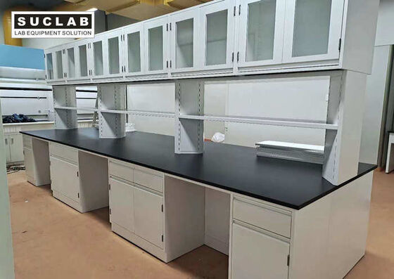 1.0mm thickness Cold Rolled Steel Laboratory Workbench With Storage Cabinet supplier
