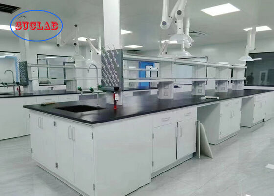 Epoxy Resin Benchtop White Colour Science Laboratory Furniture With Functional Column supplier