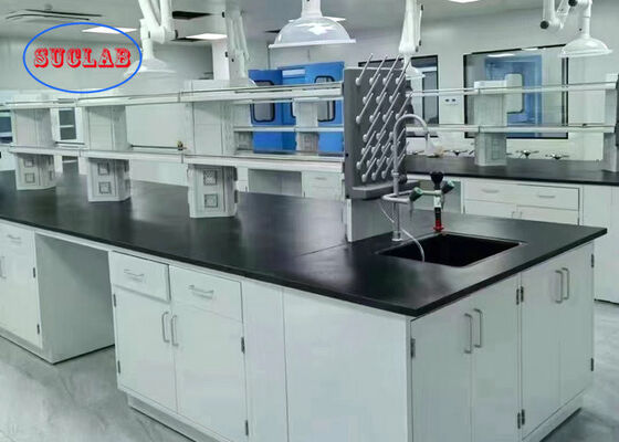 Epoxy Resin Benchtop White Colour Science Laboratory Furniture With Functional Column supplier